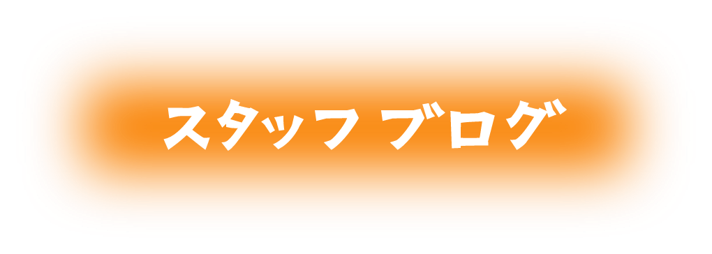 スタッフブログ