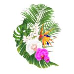 らんちゃん(ホール)