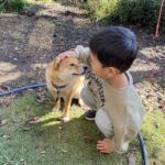 ばにらあいす