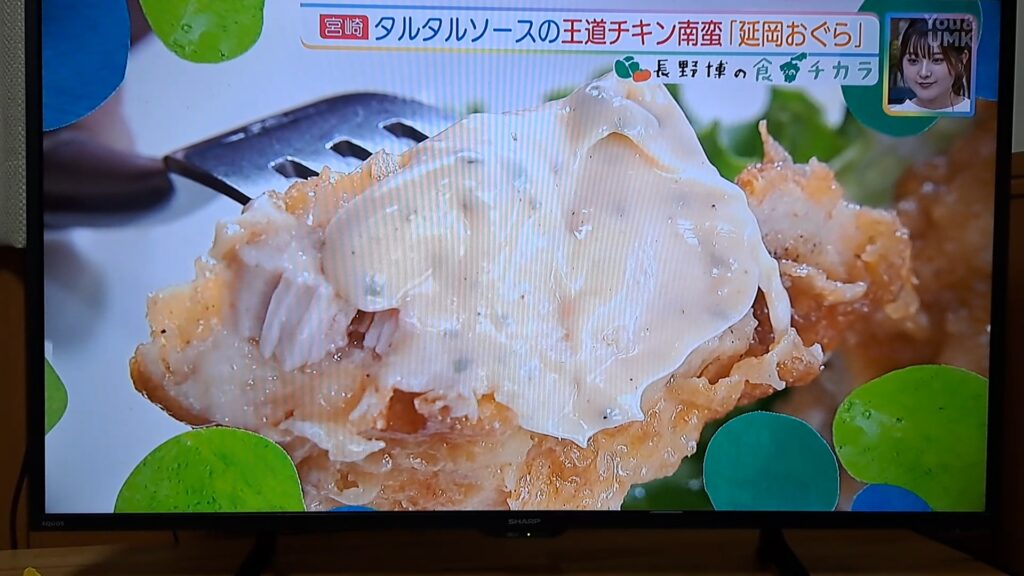 祝　テレビデビュー✨