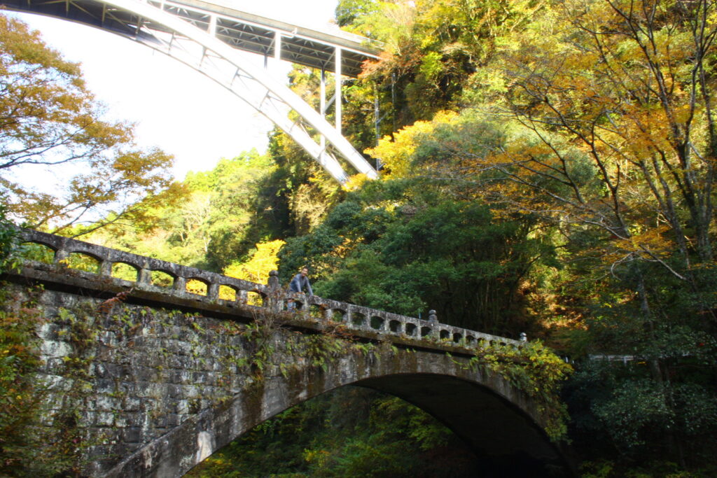 良い季節ですね。