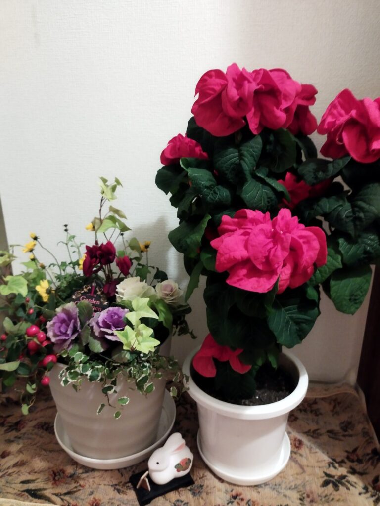 寄せ植えを作りました