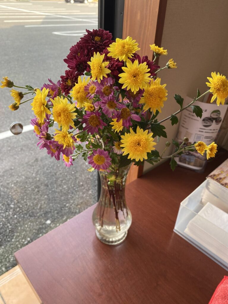 花壇の植え替えの季節が来ました❣️