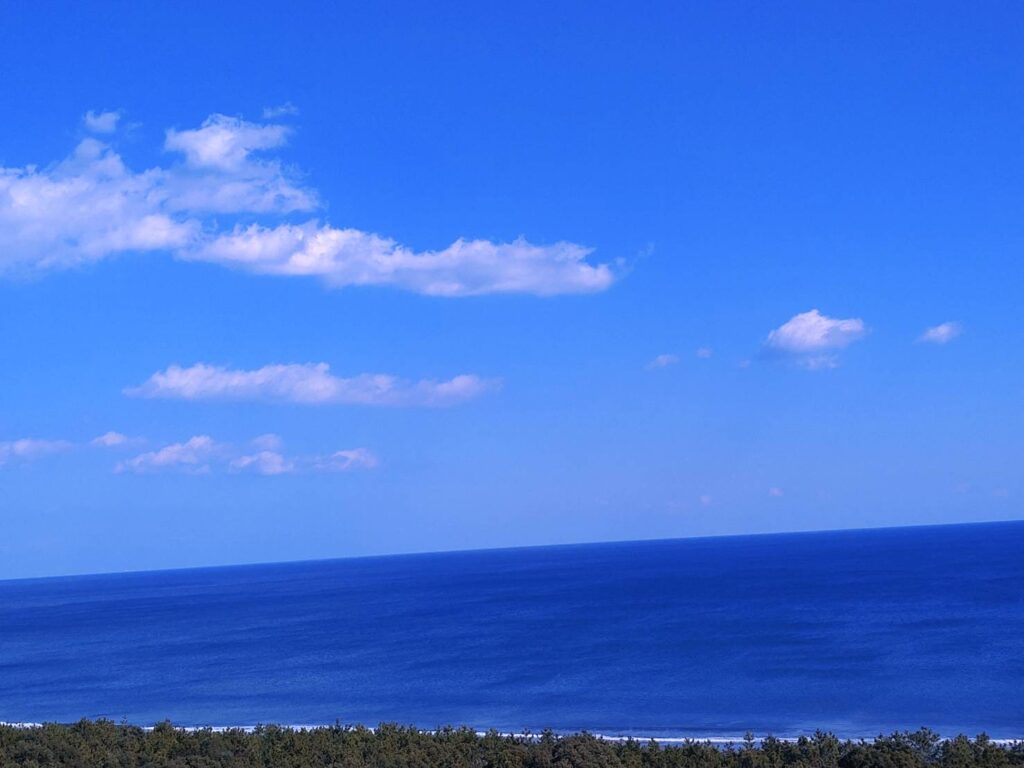 素敵ですよね🌊✨