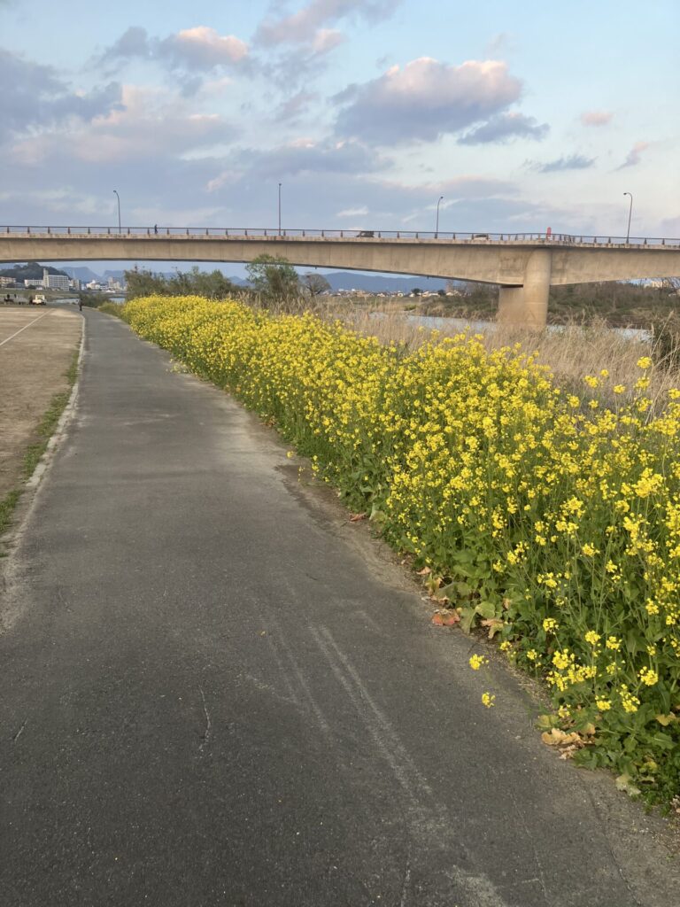 延岡の素敵なところ
