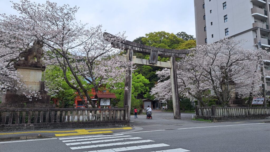 延岡桜の名所　その②
