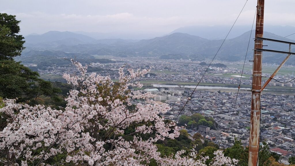 延岡桜の名所　その③