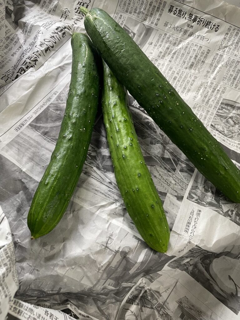 きゅうりいただきました🥒
