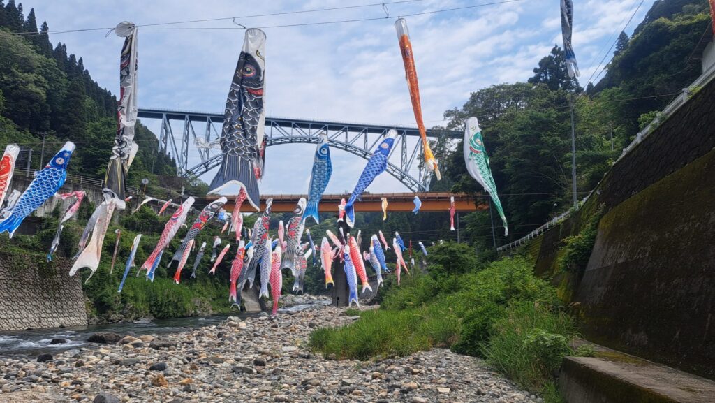 日之影の鯉のぼりたち。