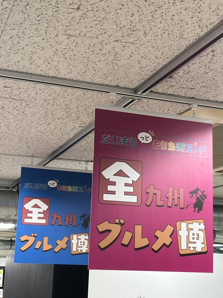 本日スタート！