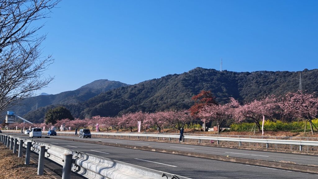 延岡花物語に行ってみました。